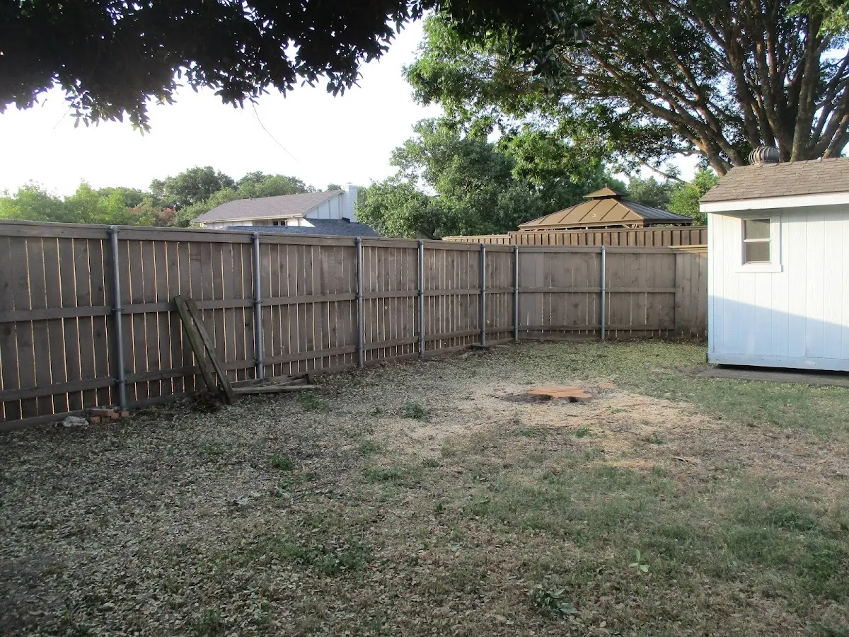 Cleared yard after professional tree removal in Avondale